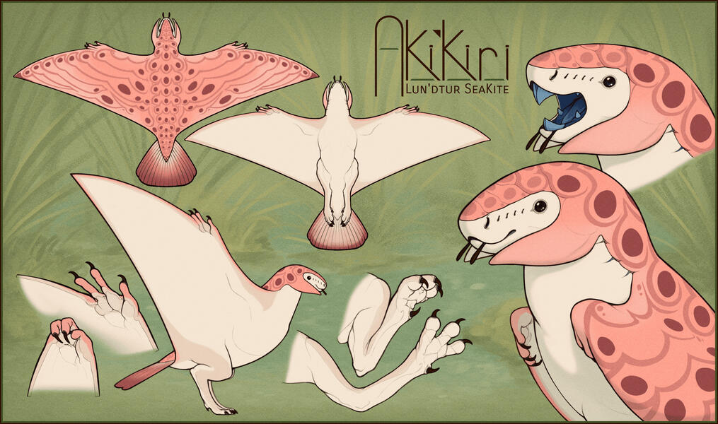 Aki'kiri Reference Sheet